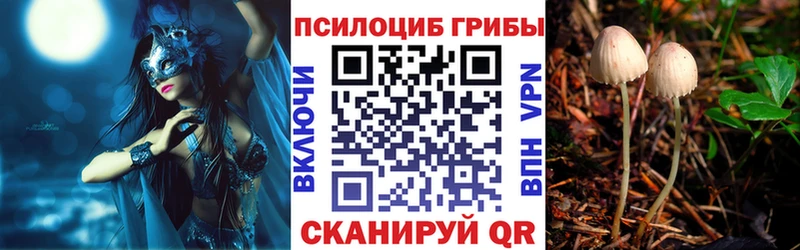 хочу наркоту  Саки  Галлюциногенные грибы Psilocybine cubensis 