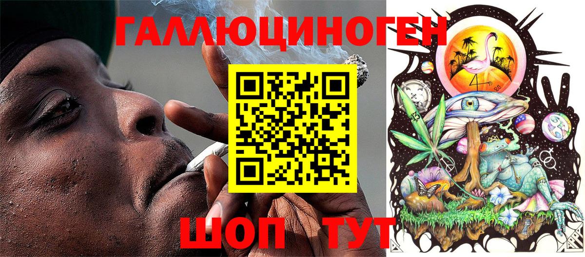 Псилоцибиновые грибы Psilocybe Саки