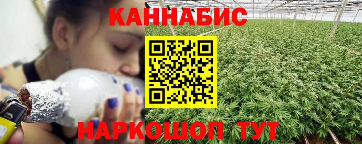 Марихуана конопля Саки